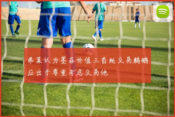 弗莱认为墨菲价值三首轮交易鹈鹕应出于尊重考虑交易他